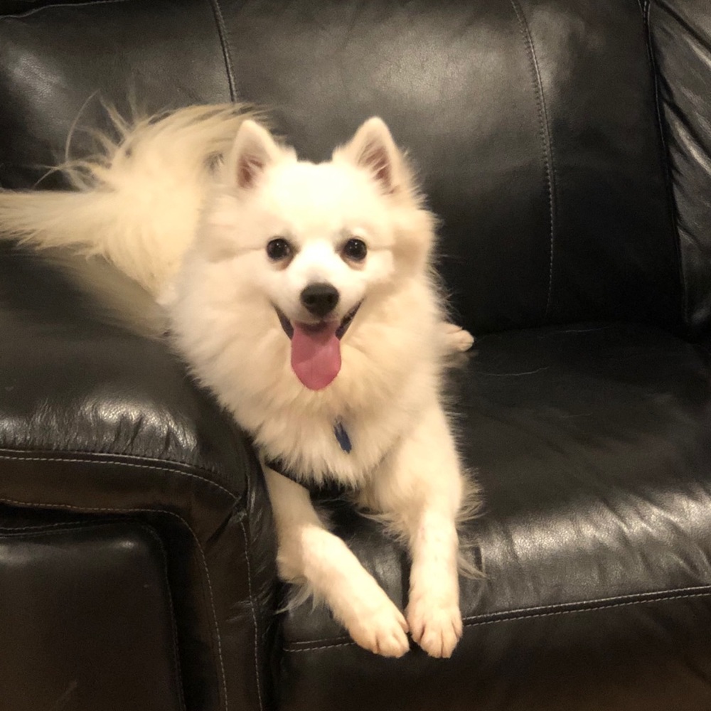 Meet your Posher, Casie